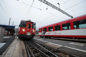 La Policia De Suiza Mata A Un Hombre Armado Con.jpg